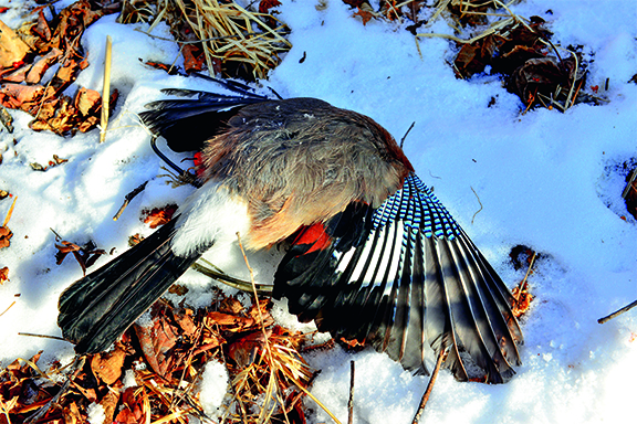 DSC_0205.jpg